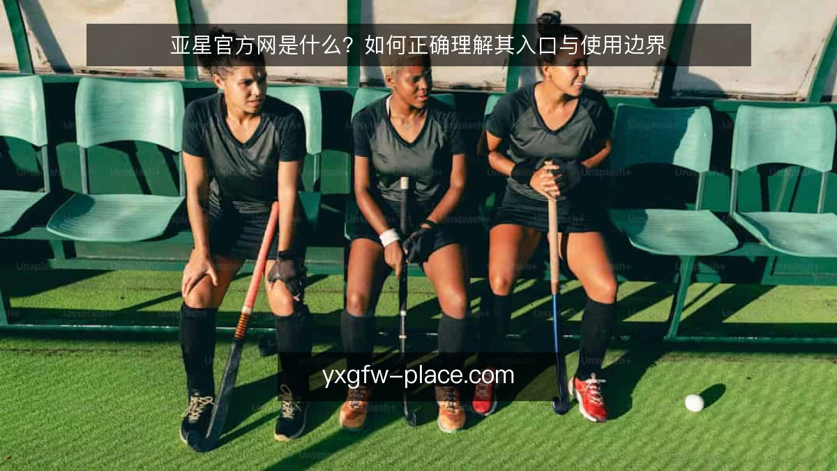 亚星官方网是什么?如何正确理解其入口与使用边界