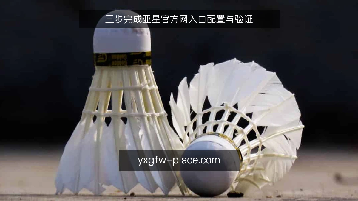 三步完成亚星官方网入口配置与验证