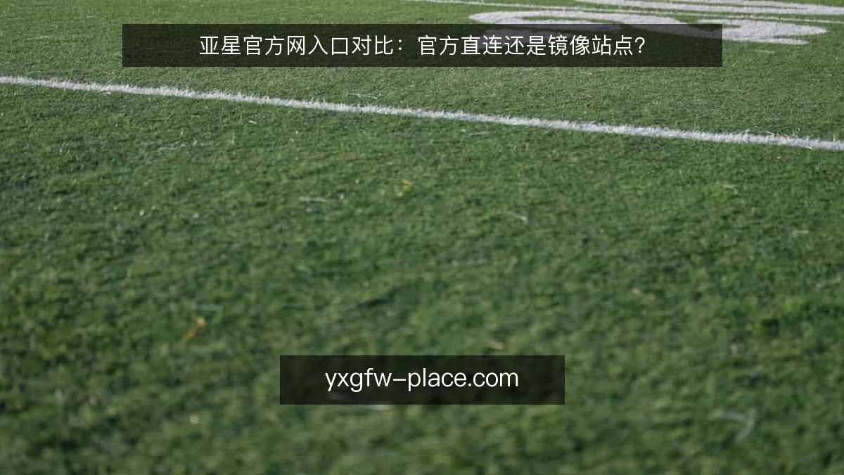 亚星官方网入口对比:官方直连还是镜像站点?