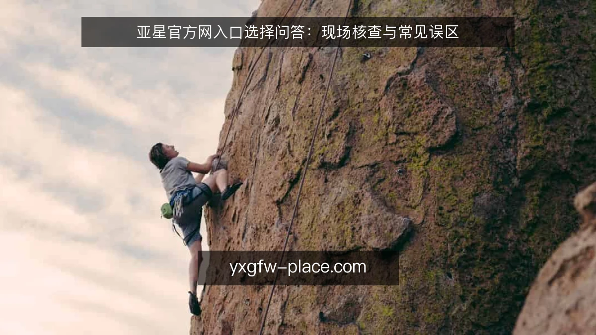 亚星官方网入口选择问答:现场核查与常见误区