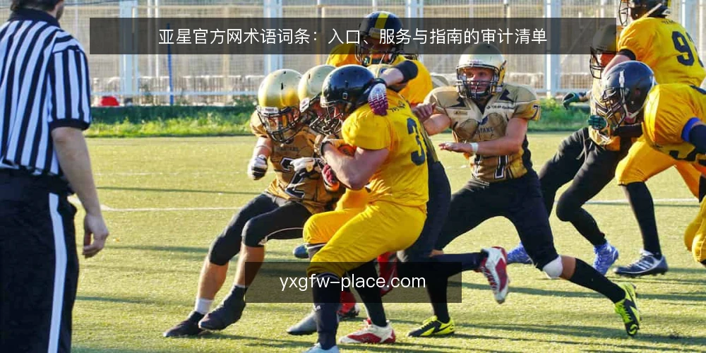 亚星官方网术语词条:入口、服务与指南的审计清单 — 为什么现在需要审计术语 配图