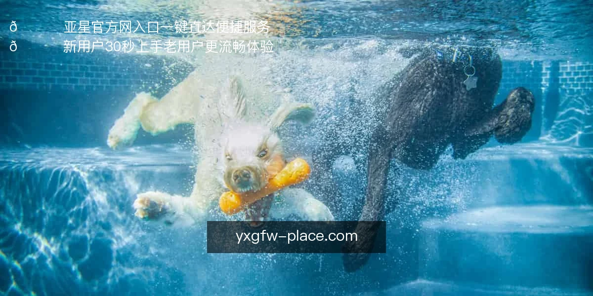 亚星官方网